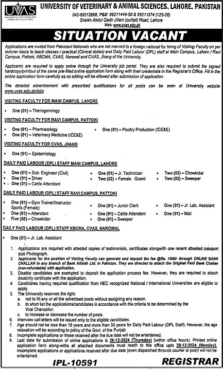 Job Opportunities at the University of Veterinary & Animal Sciences (UVAS) Lahore